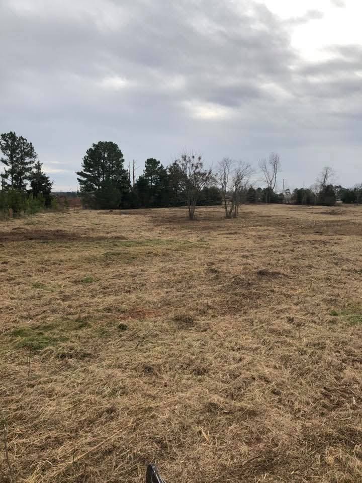A field of dry brown grass under a cloudy sky, with clusters of trees in the background.