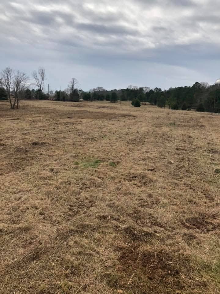 A wide, grassy field under a cloudy, overcast sky with a line of trees in the background.