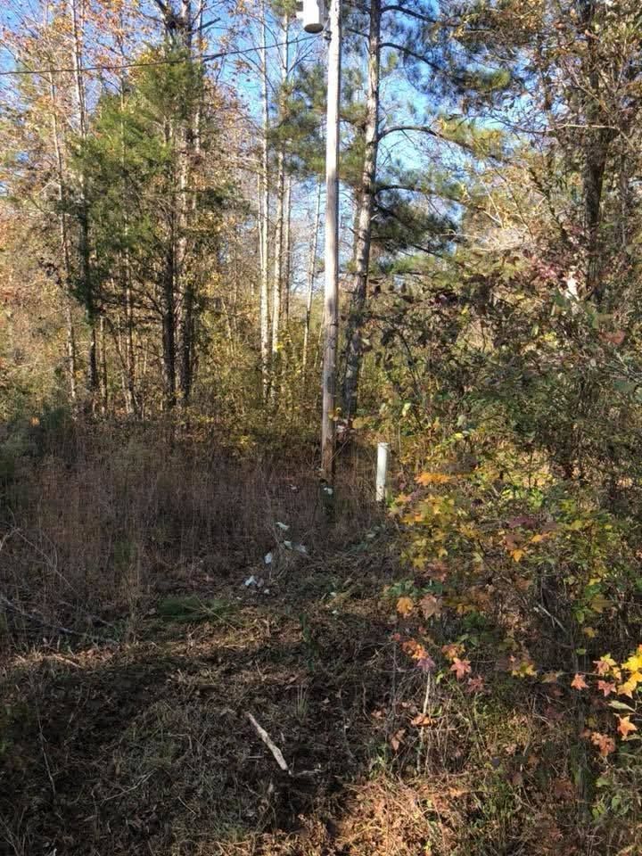A wooden utility pole stands in a wooded area with trees and underbrush on a sunny day.