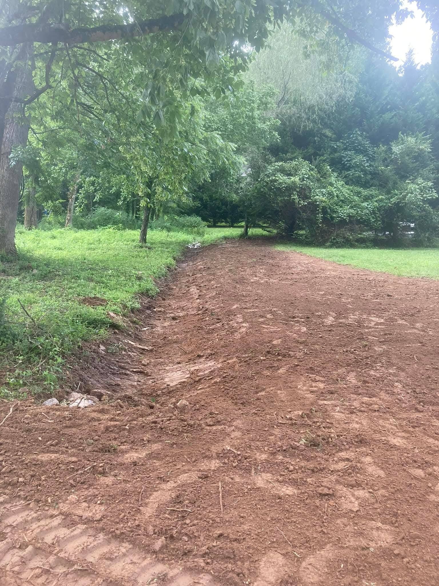 A path of bare, red dirt bordering a dense, green grassy area and trees on a bright day.