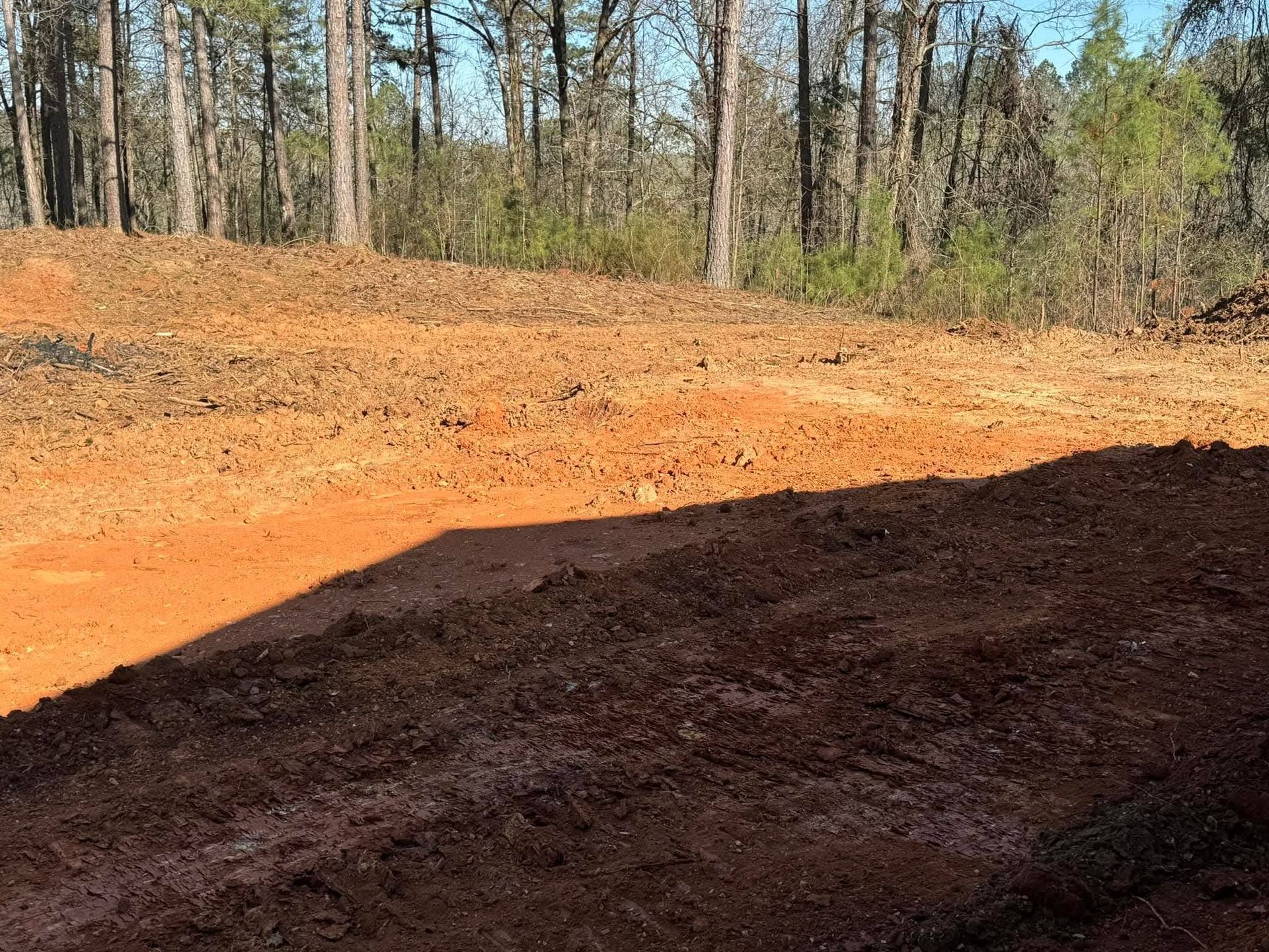 A construction site featuring a cleared, reddish-brown dirt lot in front of a line of tall, bare trees.