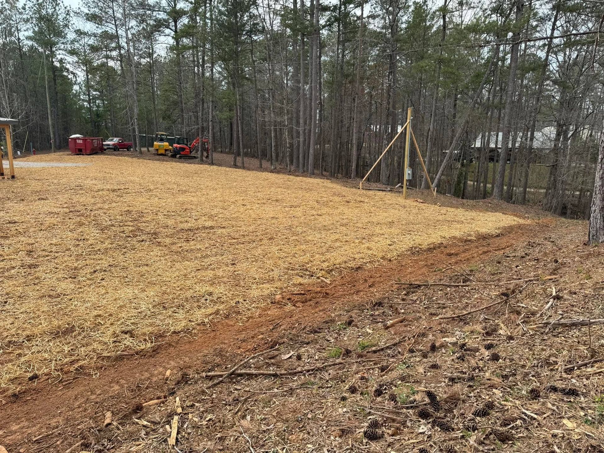 A freshly cleared plot of land covered in wood chips, adjacent to a wooded forest area.