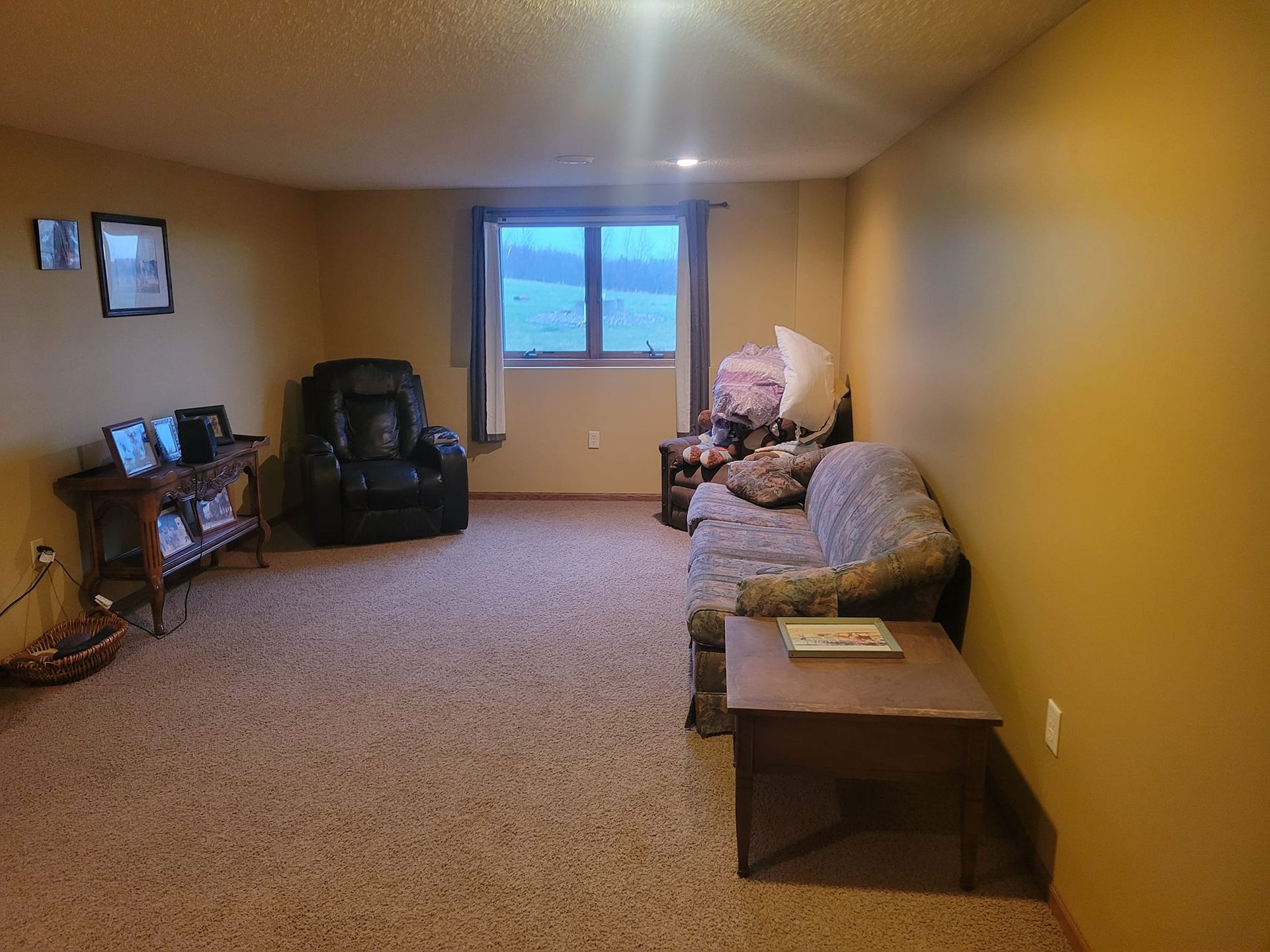 Living Room – Cottage Grove, MN - Minnesota Nice Painting