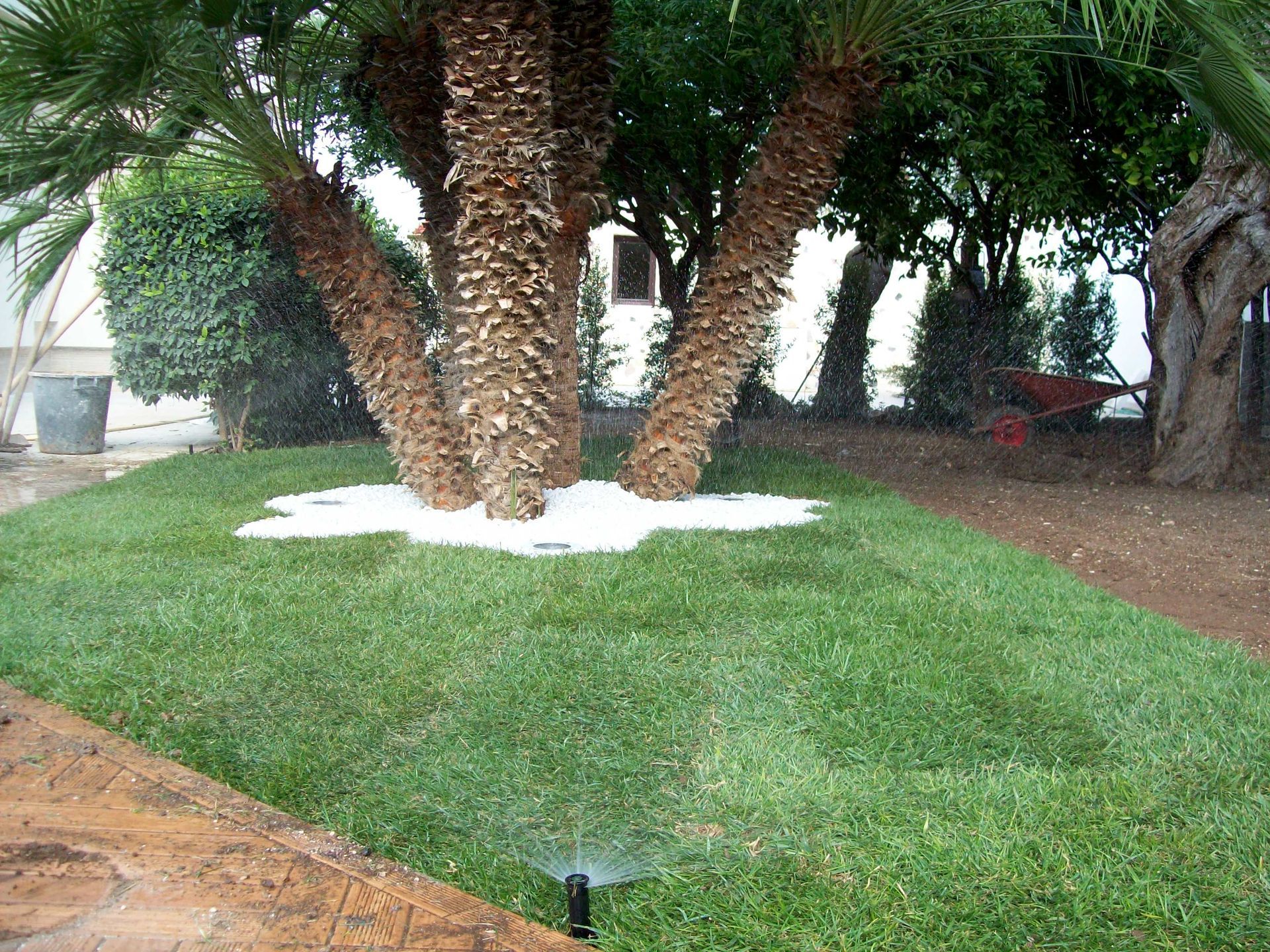 manutenzione aree verdi a Bari