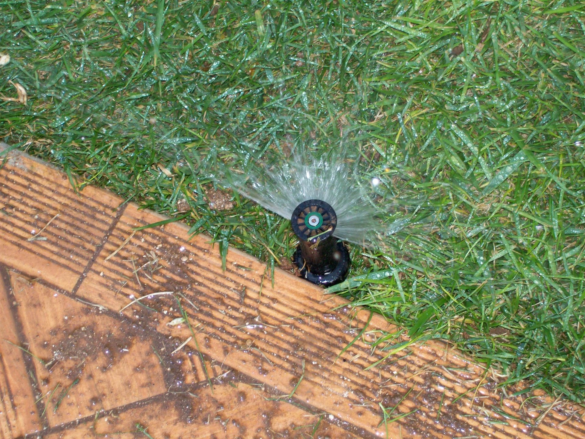 manutenzione aree verdi a Bari