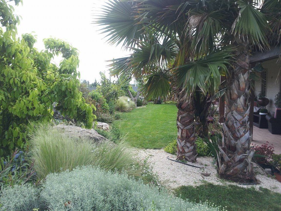 manutenzione aree verdi a Bari