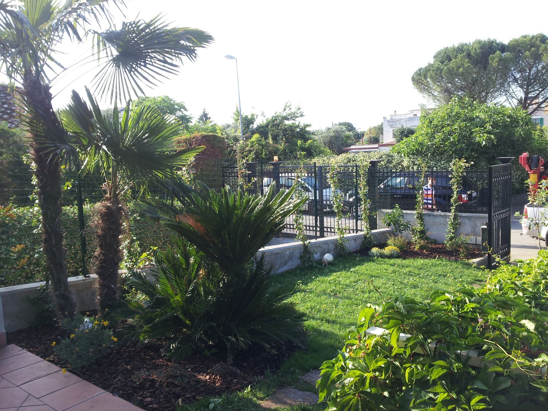 manutenzione aree verdi a Bari