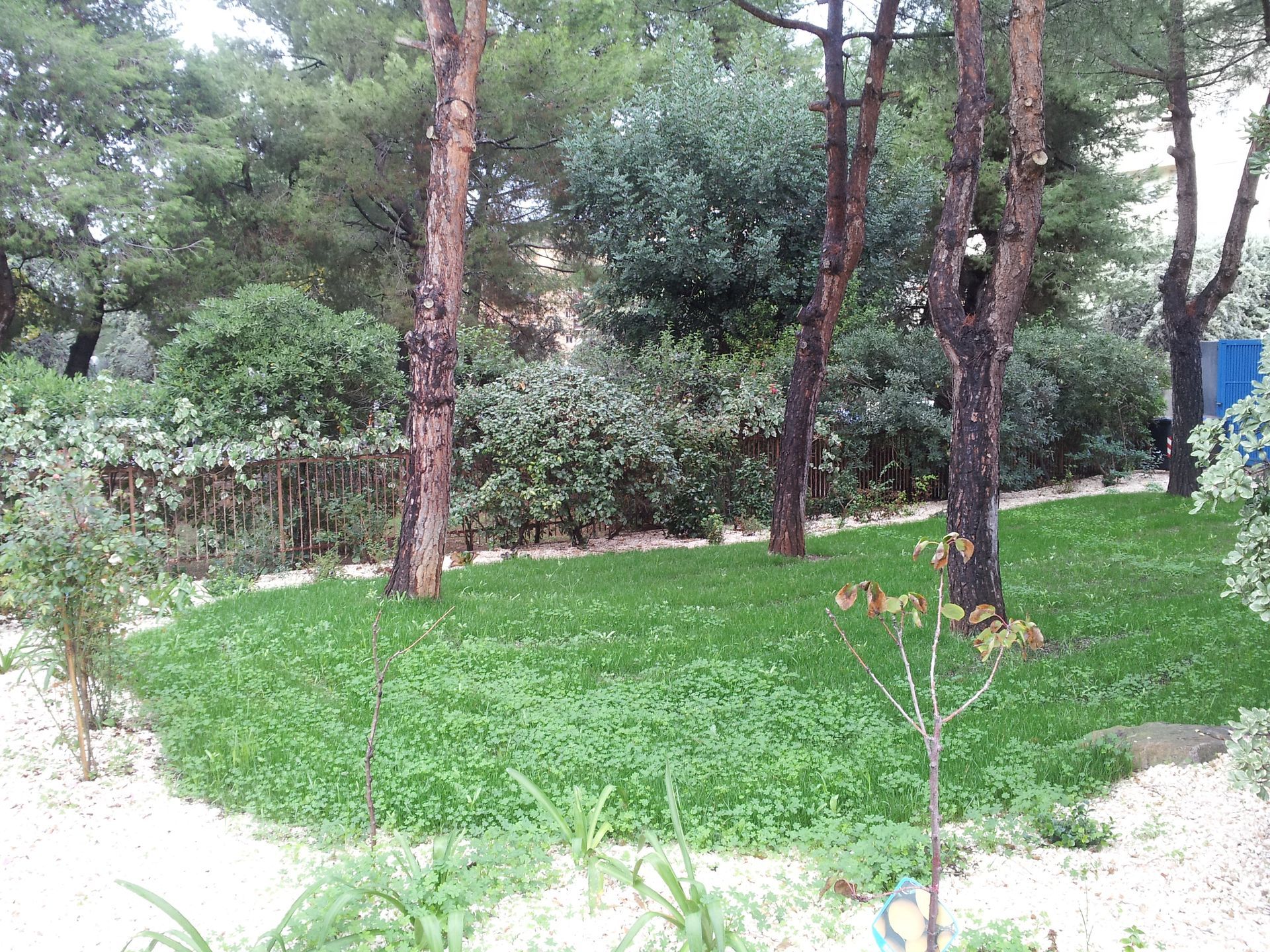 manutenzione aree verdi a Bari