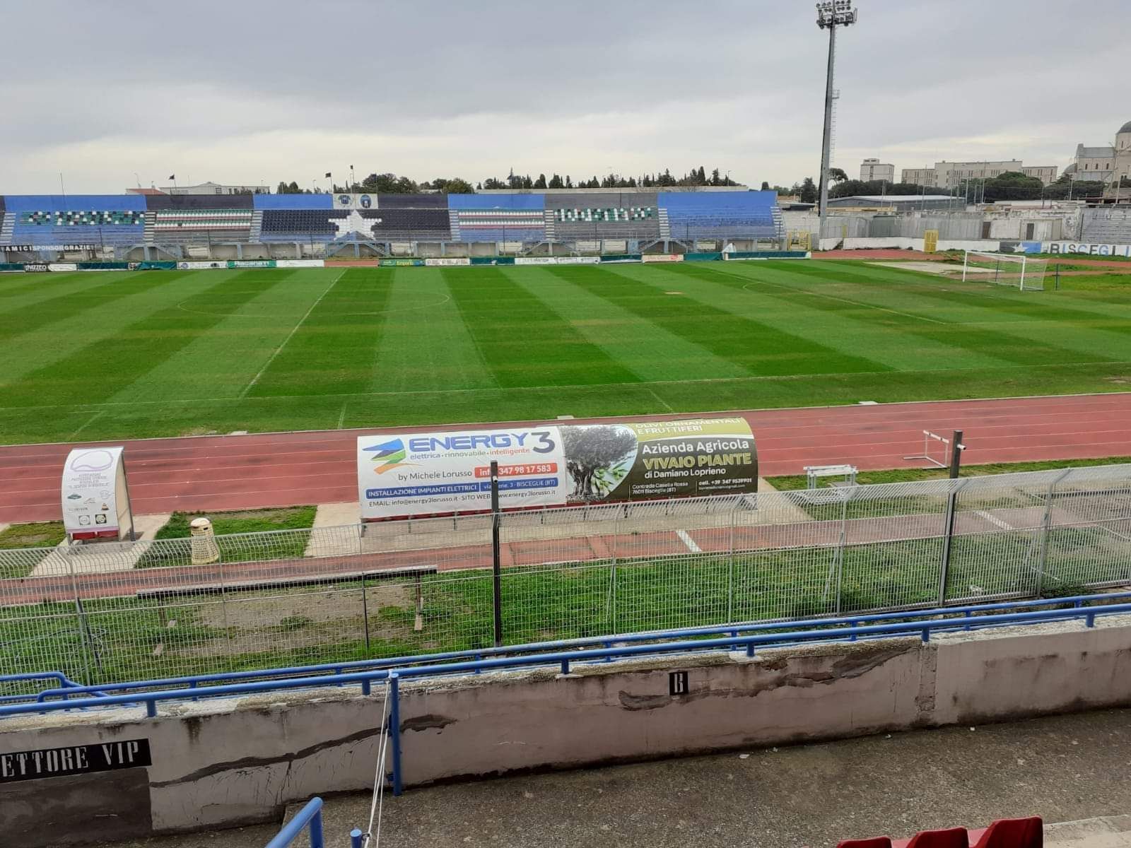 creazione e manutenzione manti erbosi in erba naturale