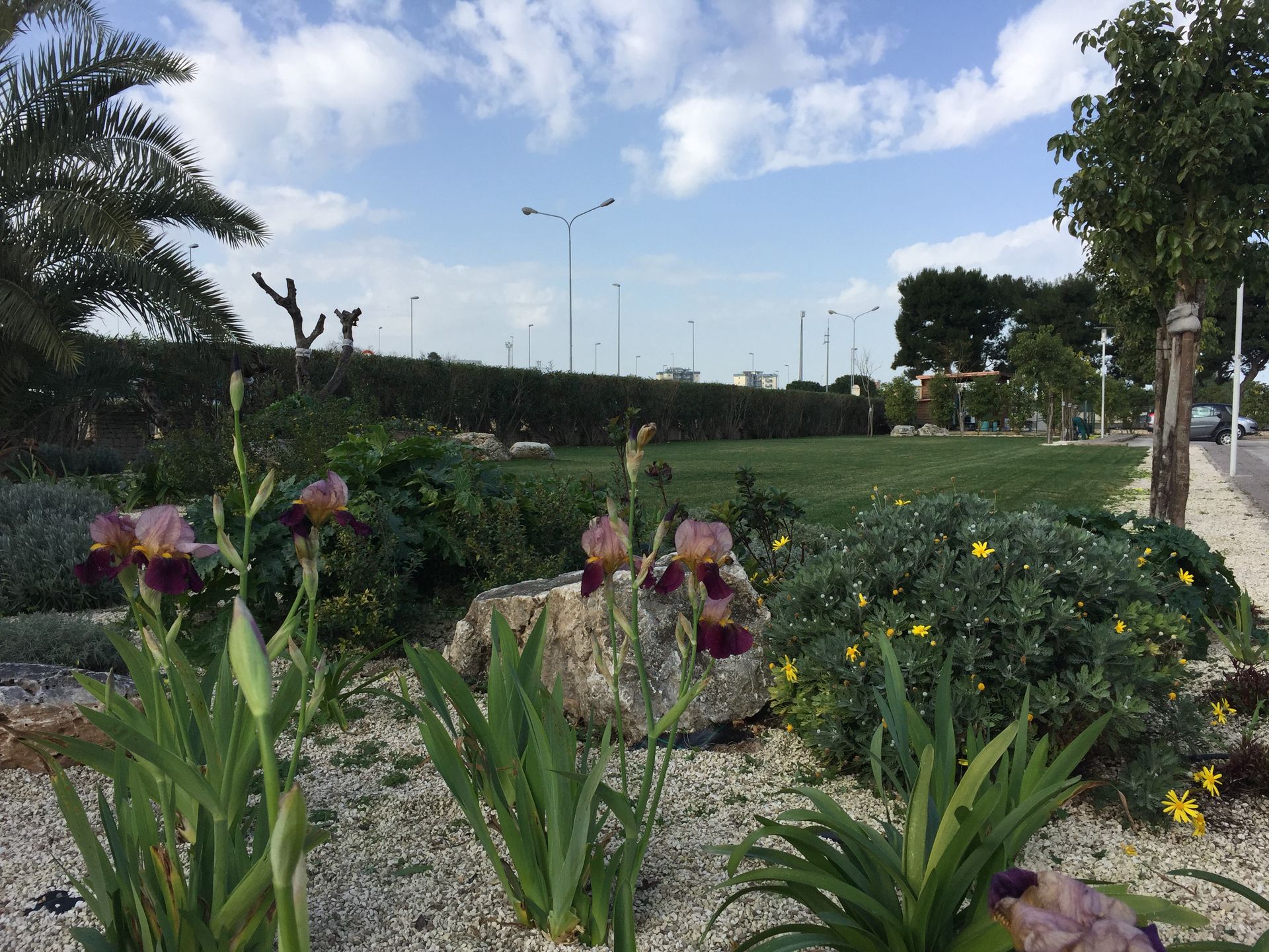 manutenzione aree verdi a Bari