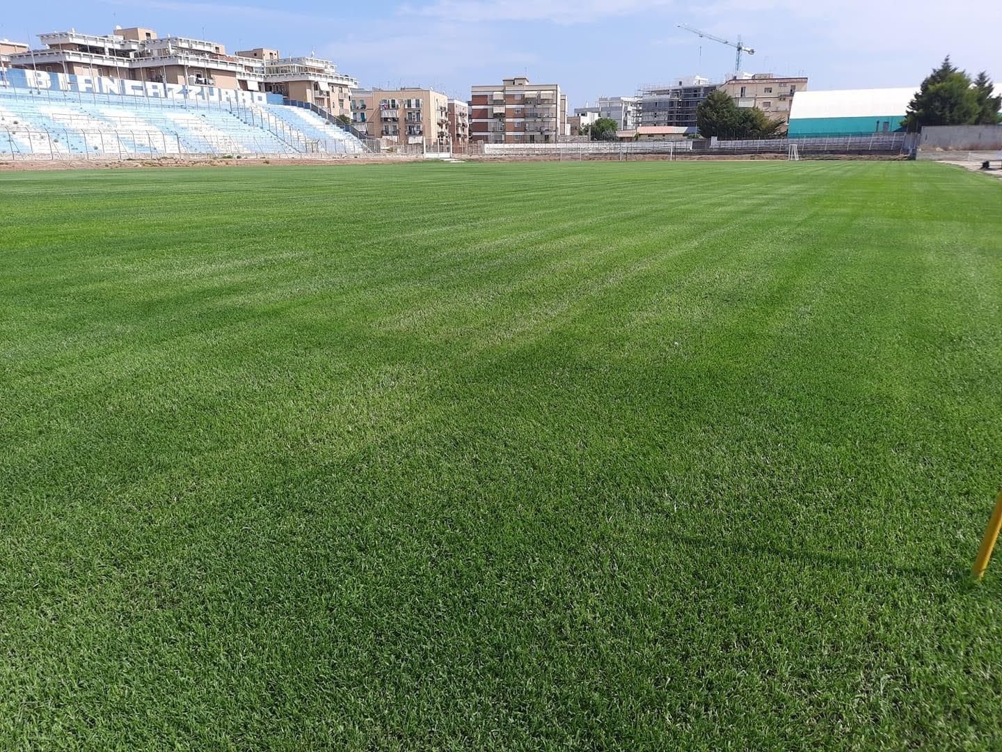 creazione e manutenzione manti erbosi in erba naturale