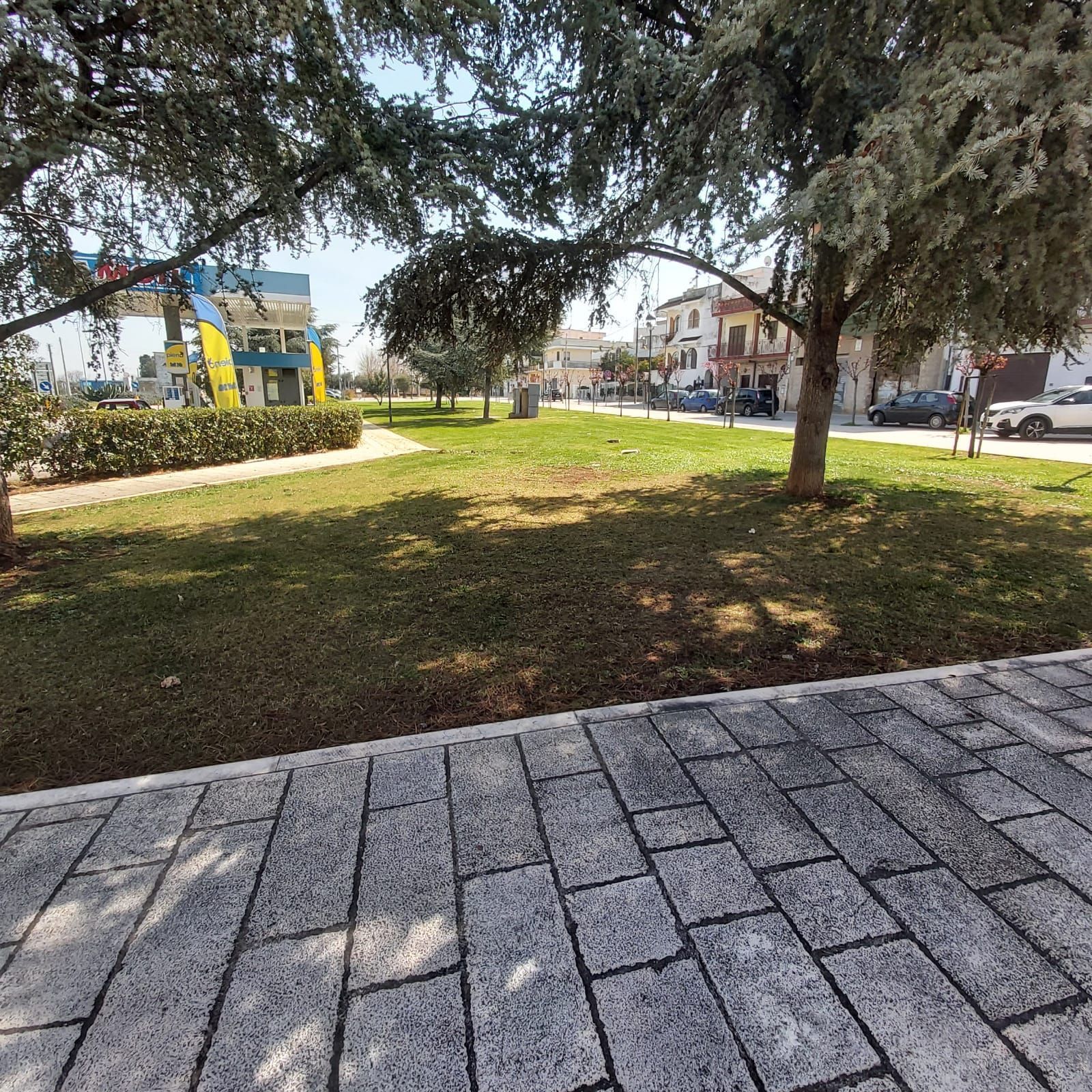 manutenzione aree verdi a Bari