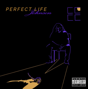 An album cover for perfect life by johnson