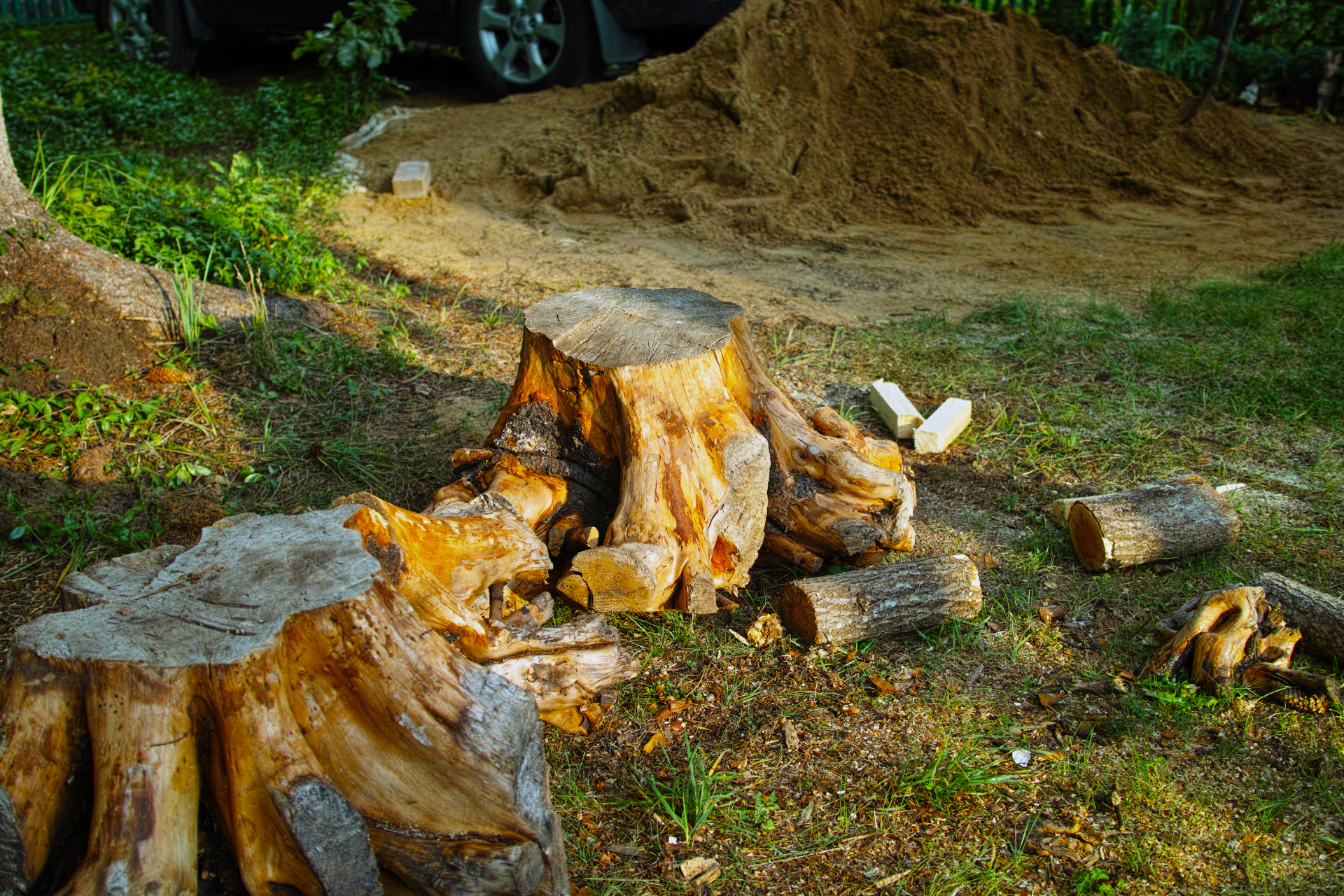 A pile of wood is sitting on the ground next to a tree stump.