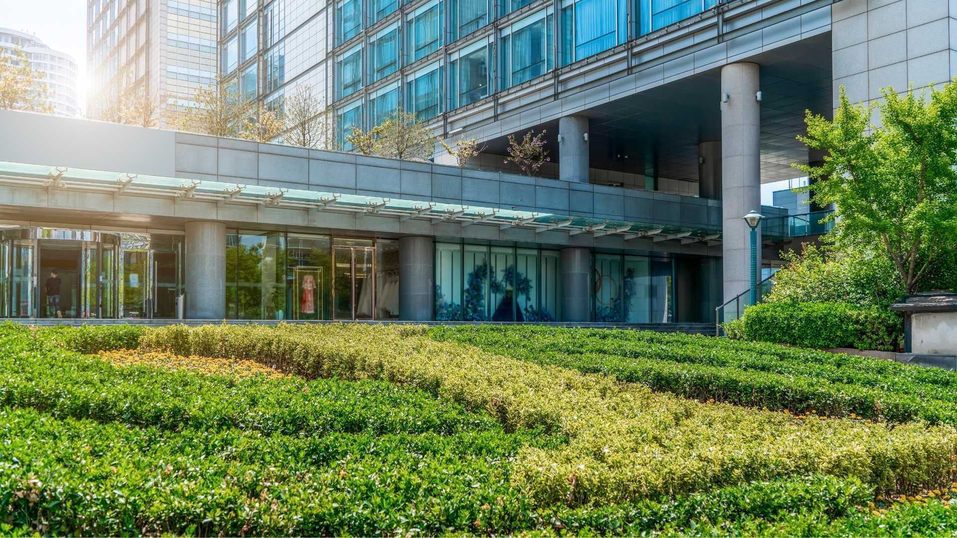 The texas capitol building is surrounded by trees on a sunny day.