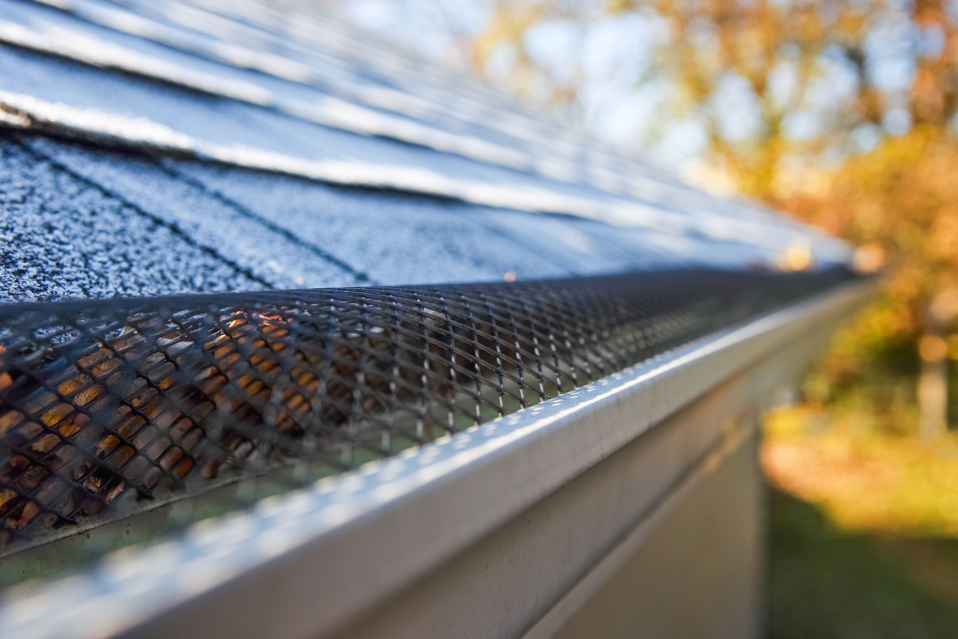 Close-up of a roof gutter with a mesh screen, containing leaves. Blue shingles and fall foliage in the blurred background.