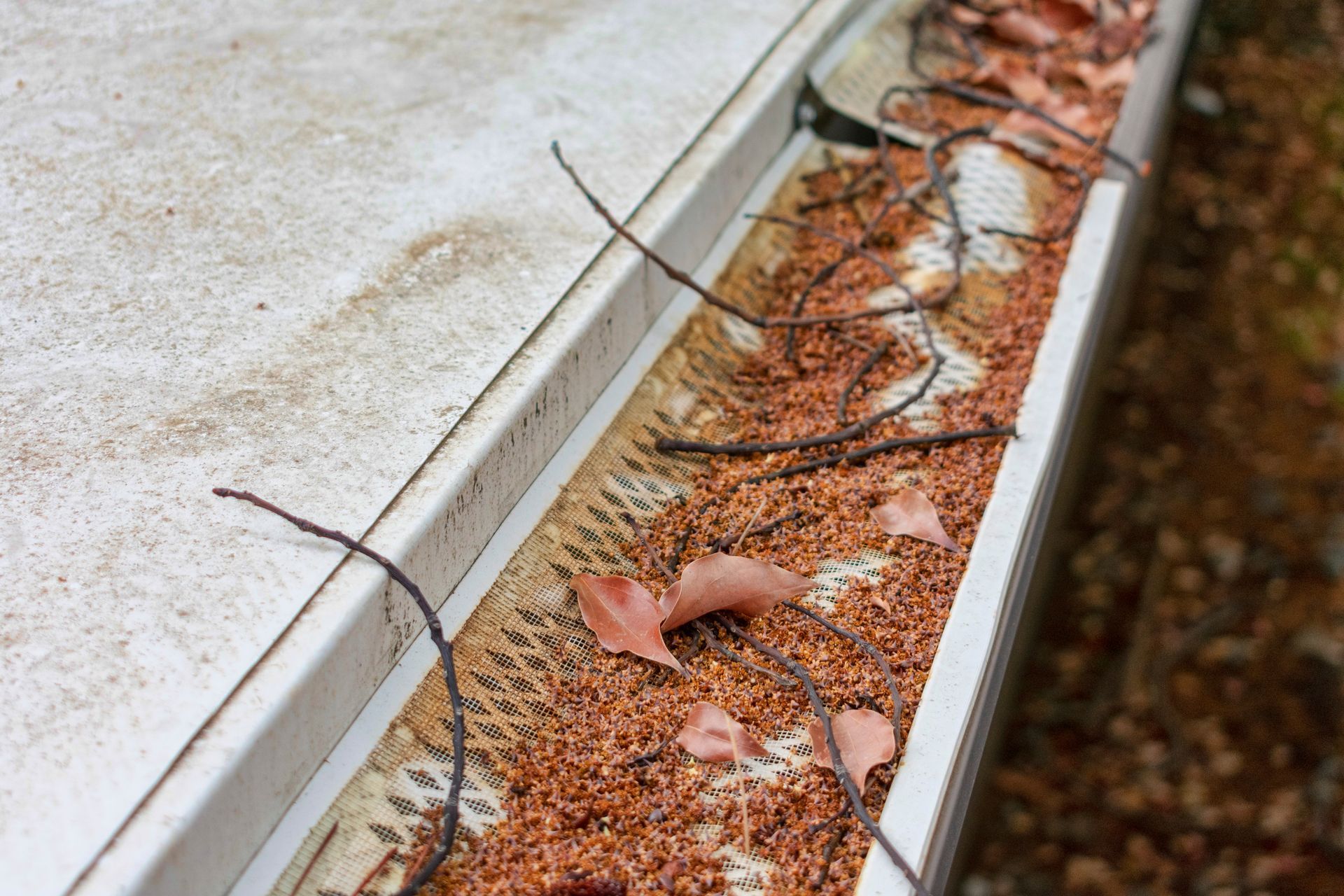 Dirty gutter filled with debris, including leaves and twigs.