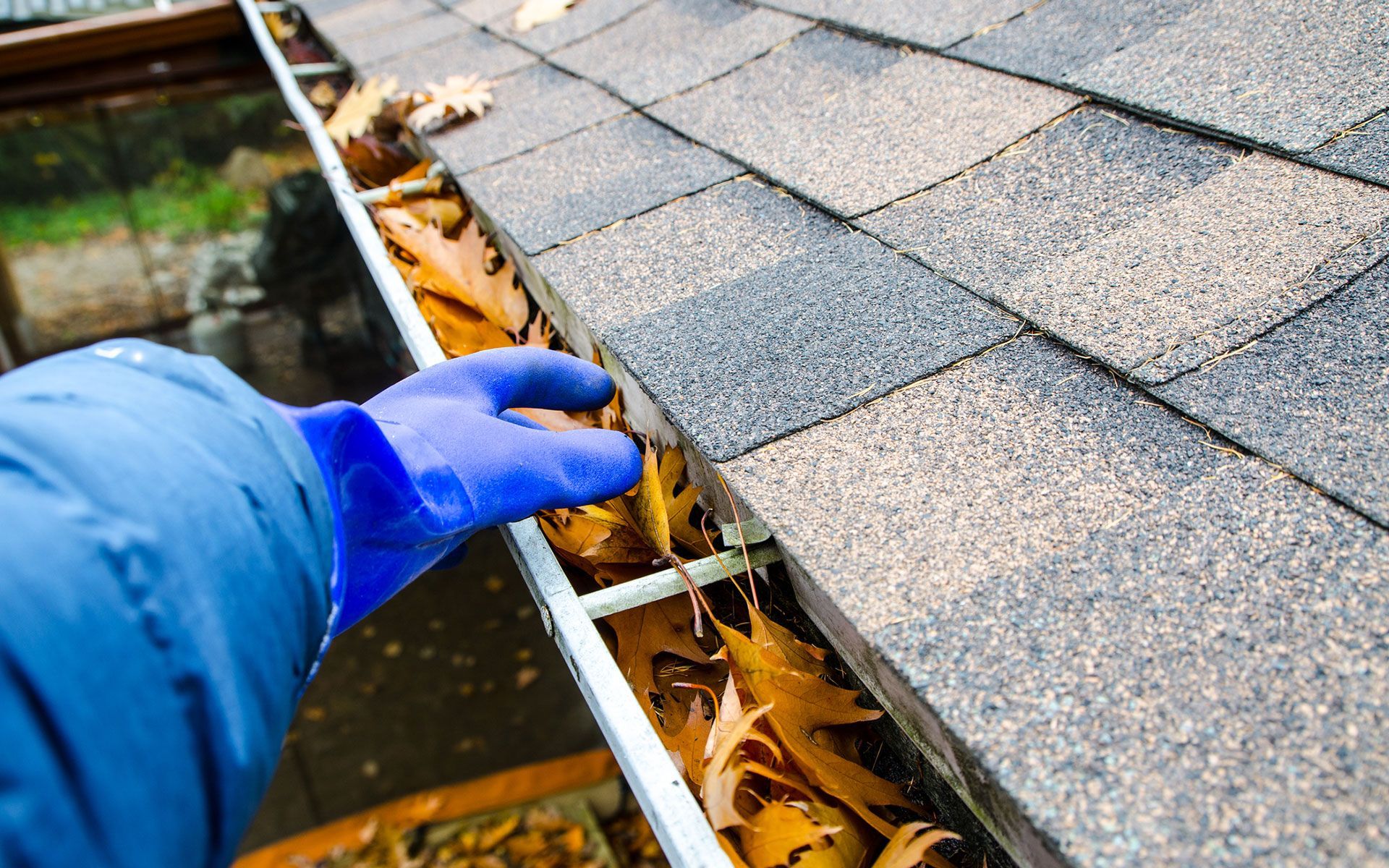 A person wearing blue gloves is cleaning a gutter on a roof.