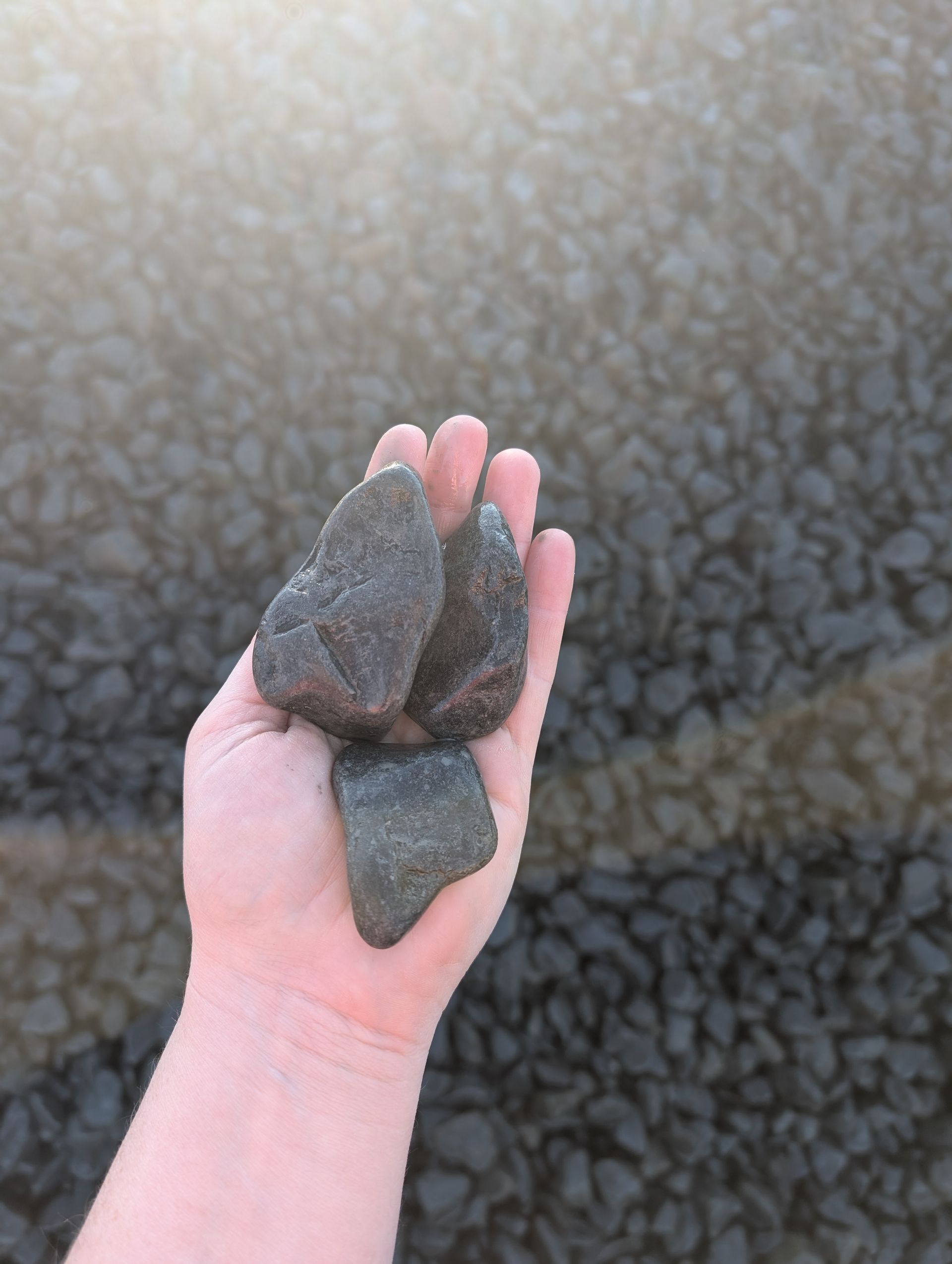 Hand holding three dark gray rocks against a background of similar rocks.