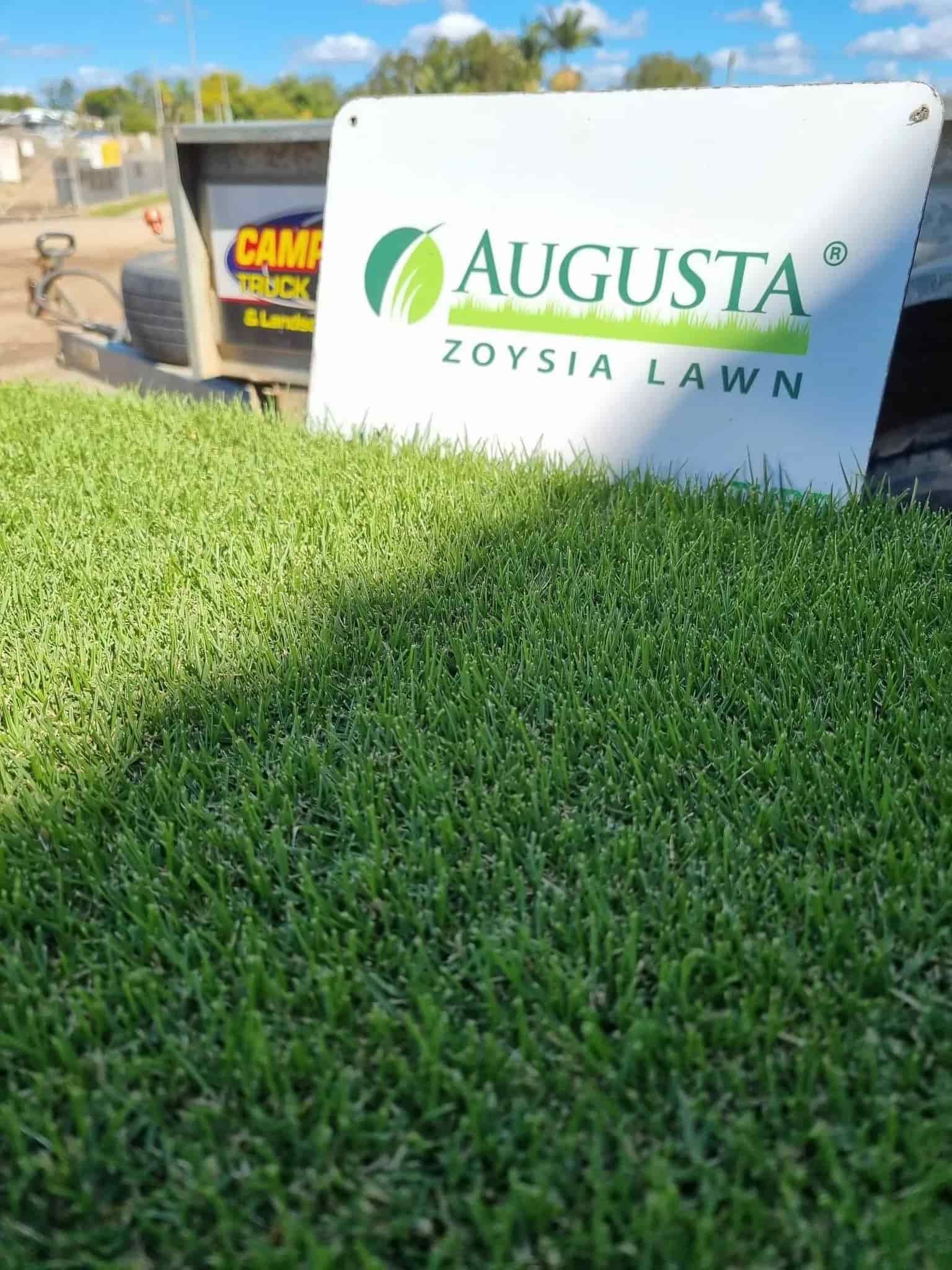 Augusta Zoysia Lawn Grass — Campbell's Truck and Bobcat and Landscape Supplies In Gympie, QLD