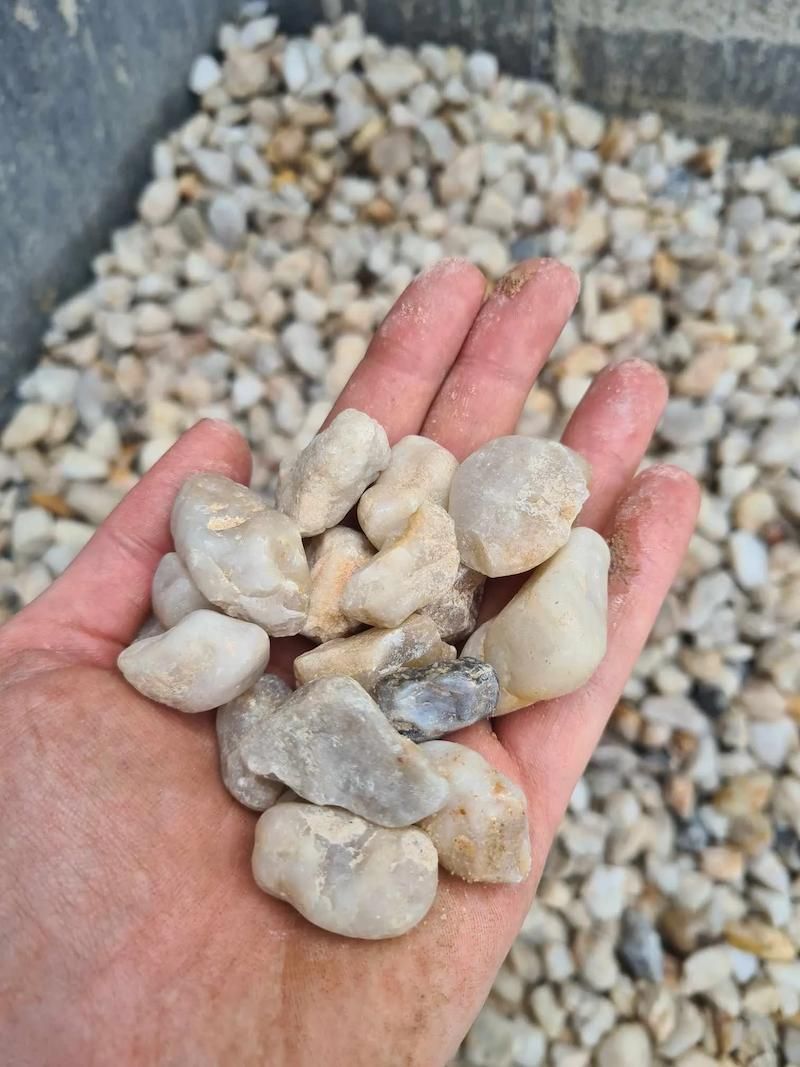 A Person Is Holding A Pile Of White Rocks In Their Hand — Campbell's Truck and Bobcat and Landscape Supplies In Gympie, QLD
