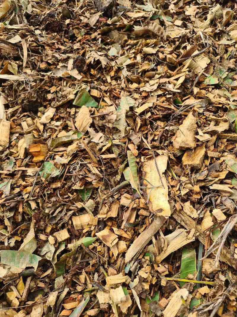A Pile Of Wood Chips And Leaves On The Ground — Campbell's Truck and Bobcat and Landscape Supplies In Gympie, QLD