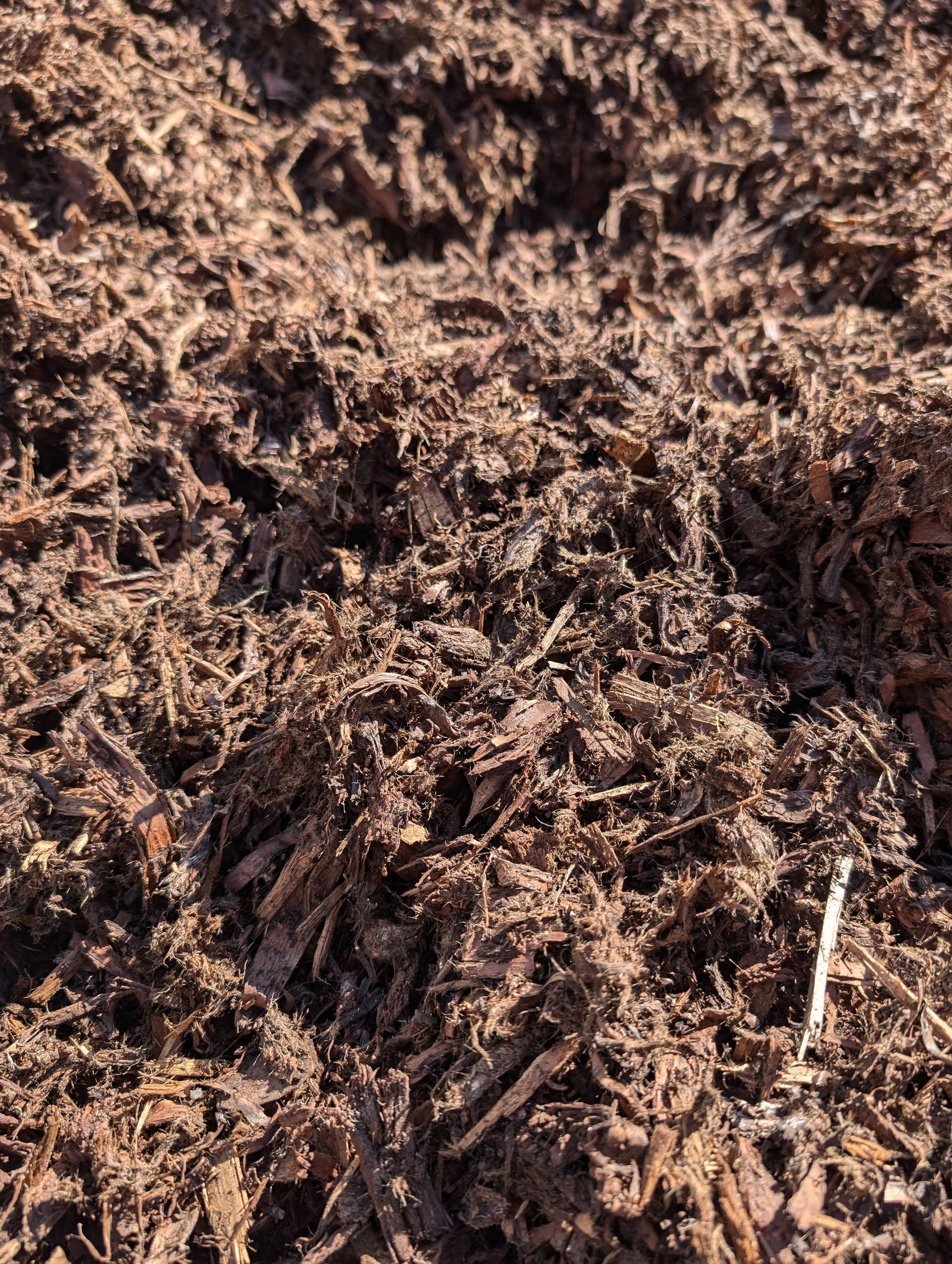 A Pile Of Wood Chips Is Sitting On The Ground — Campbell's Truck and Bobcat and Landscape Supplies In Gympie, QLD