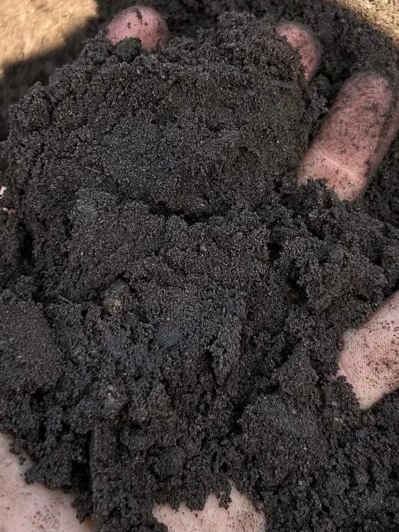 A Person Is Holding A Pile Of Black Dirt In Their Hands — Campbell's Truck and Bobcat and Landscape Supplies In Gympie, QLD