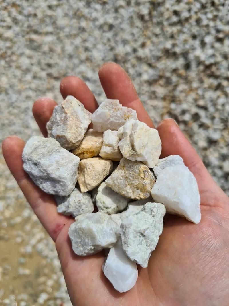 A Person Holding A Pile Of White Quartz — Campbell's Truck and Bobcat and Landscape Supplies In Gympie, QLD