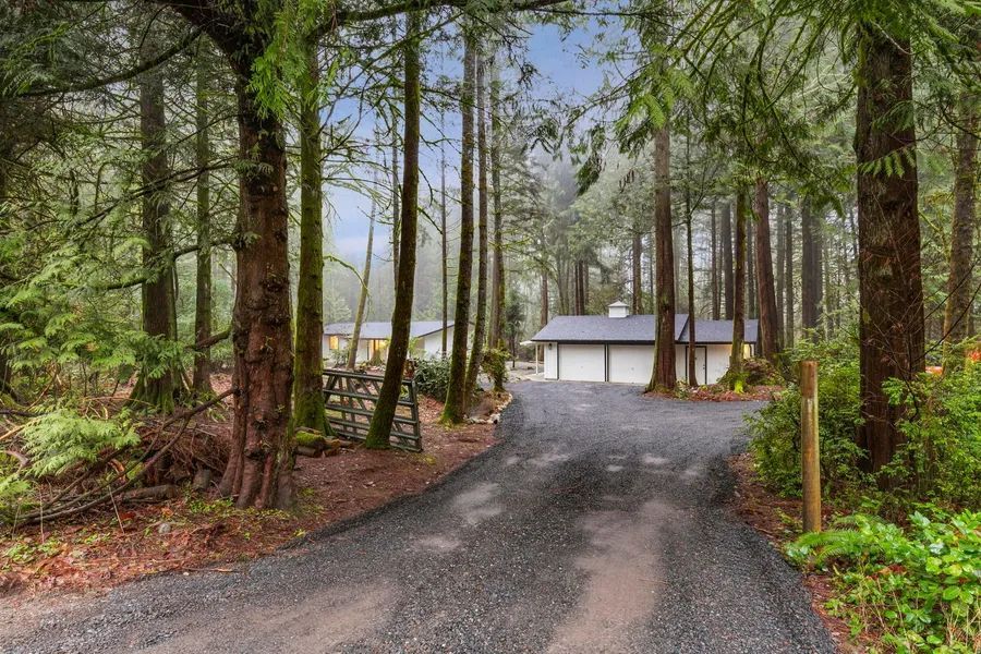 A dirt road leading to a house in the middle of a forest.