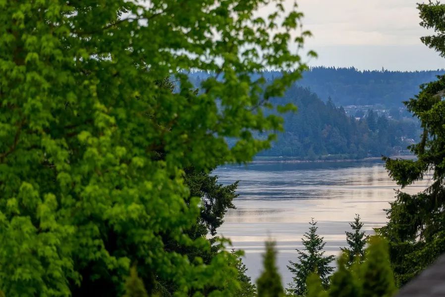 A view of a lake through trees with mountains in the background.