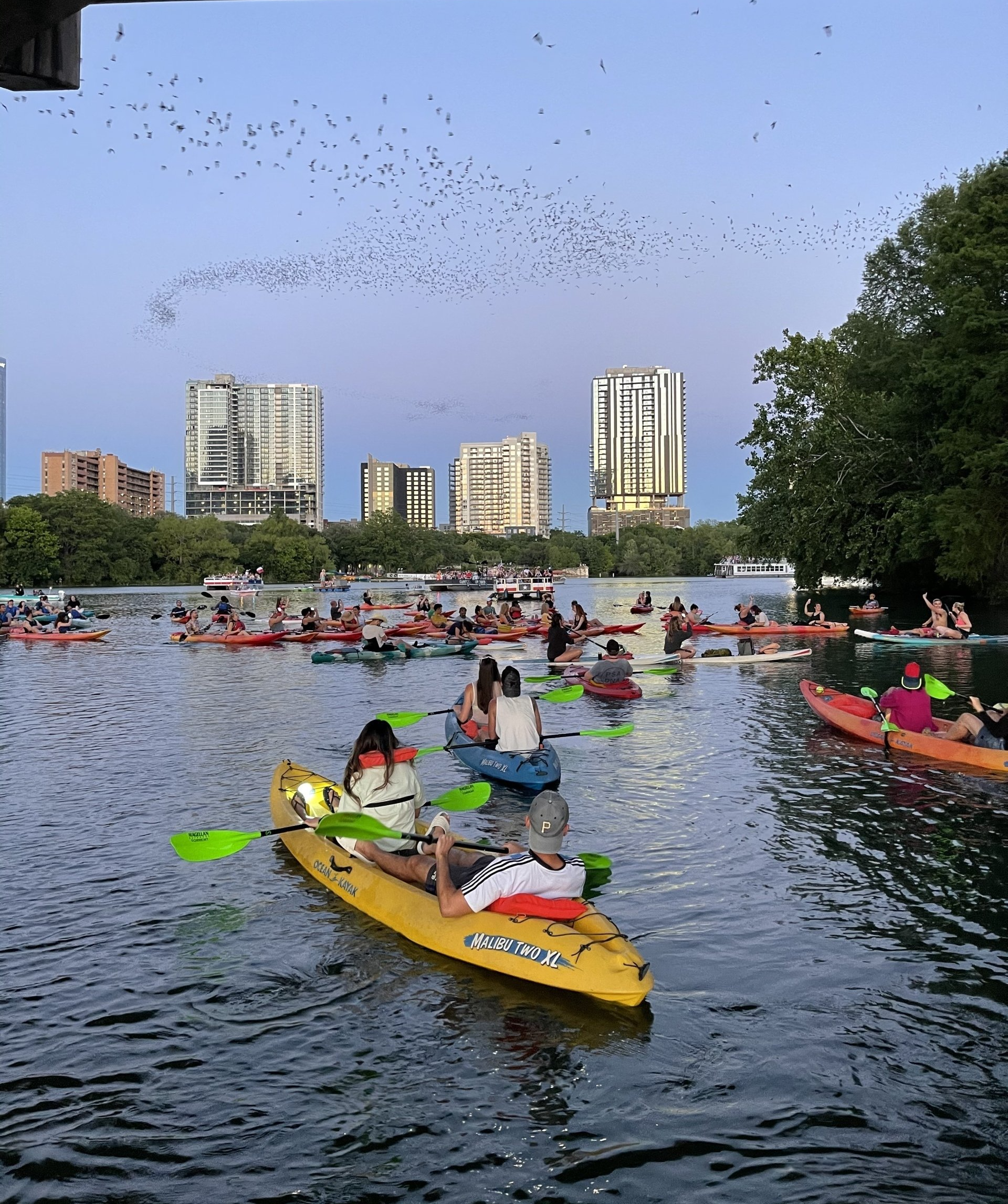 A group of people are paddling kayaks on a lake.
