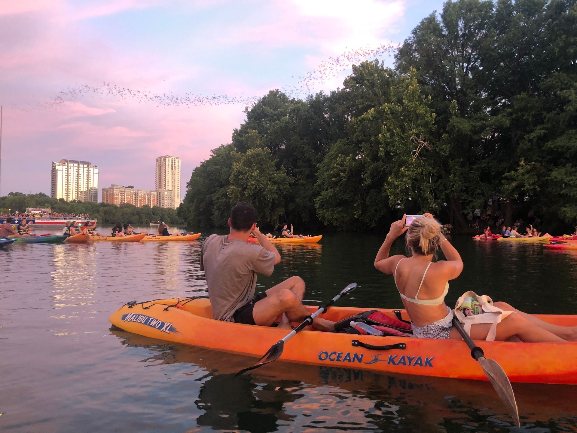 Boats and bats tour with bats flying out of Congress Ave Bridge in Austin Tx