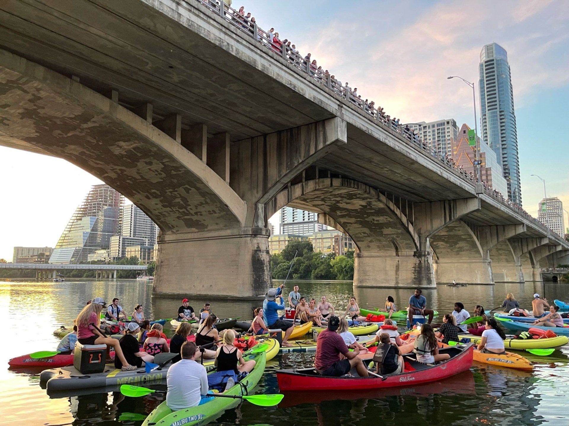 austin bat tour on the giant paddle board