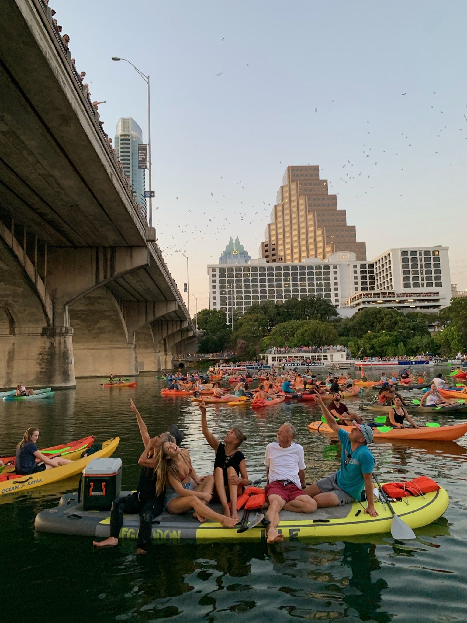 austin bat tours - kayak and paddle board tours in austin