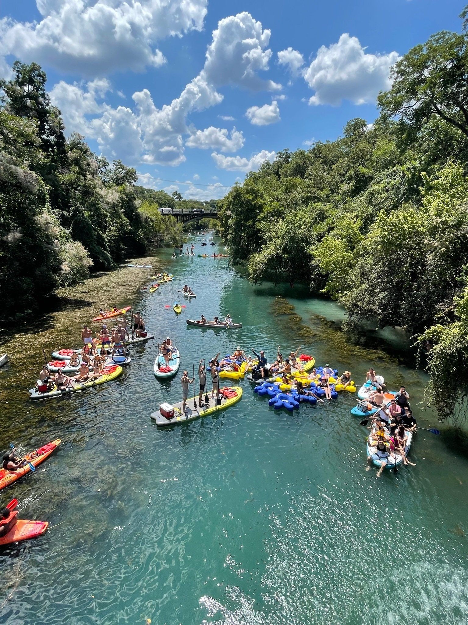 paddle board tour with boats and bats in barton springs