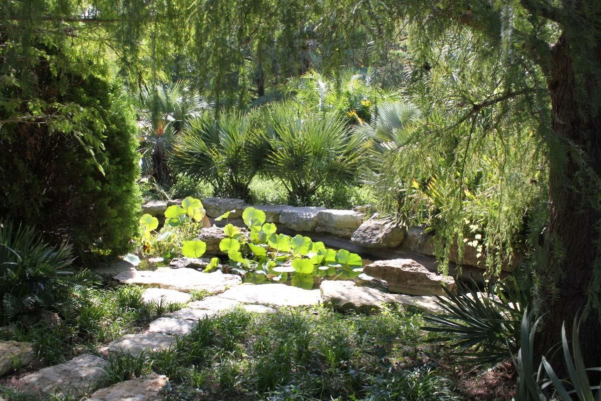 Scenic view of the Japanese Garden at Zilker Botanical Garden.