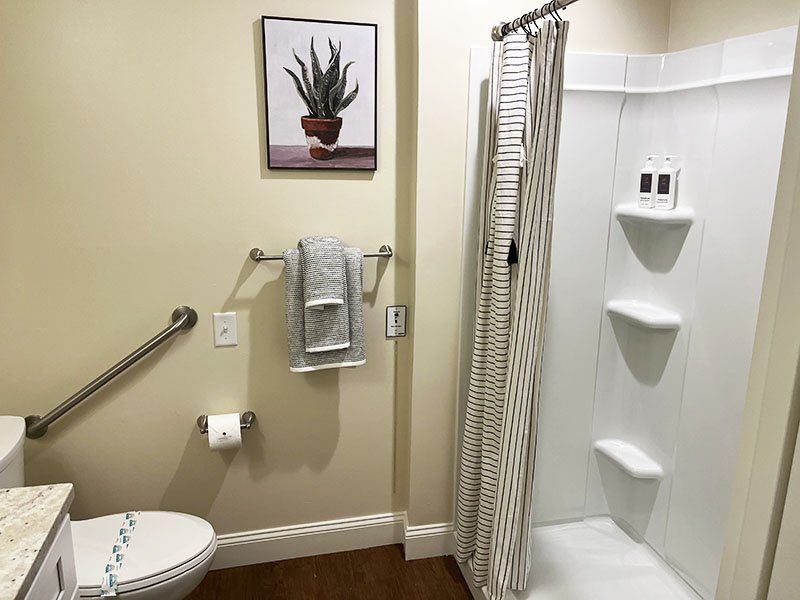 Accessible bathroom with shower, toilet, grab bars, and wall-mounted shelf in white and beige tones