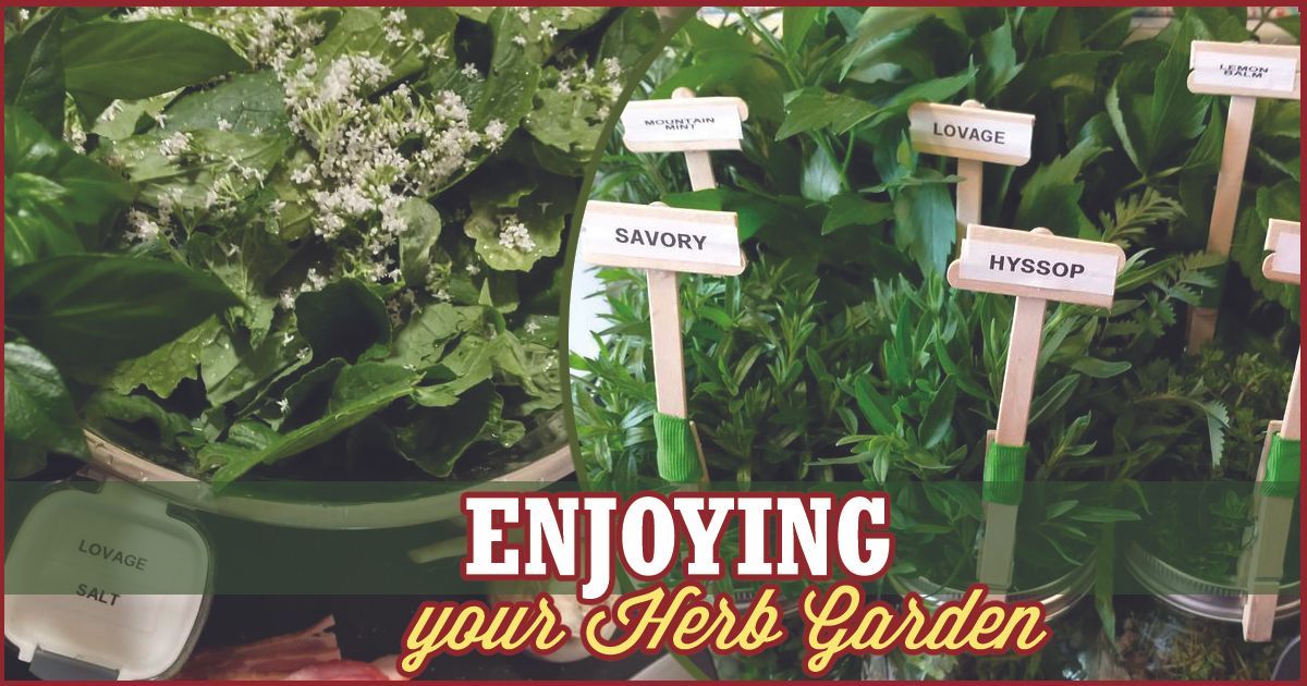 labeled herbs in jars with the words Enjoying Your Herb Garden at the bottom
