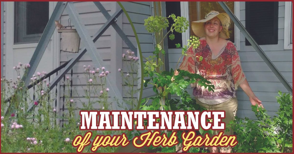 Julie in front of her house, behind an herb garden, with the words Maintenance of your herb garden at the bottom