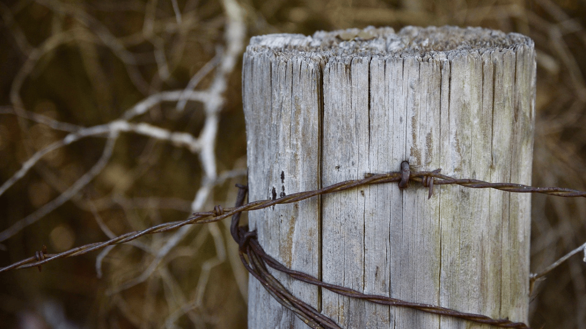 Weathered wooden post with rusty barbed wire, blurred background of dry brush.