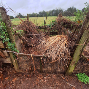 an outside homemade compost bin made of wooden posts and hardwire fencing