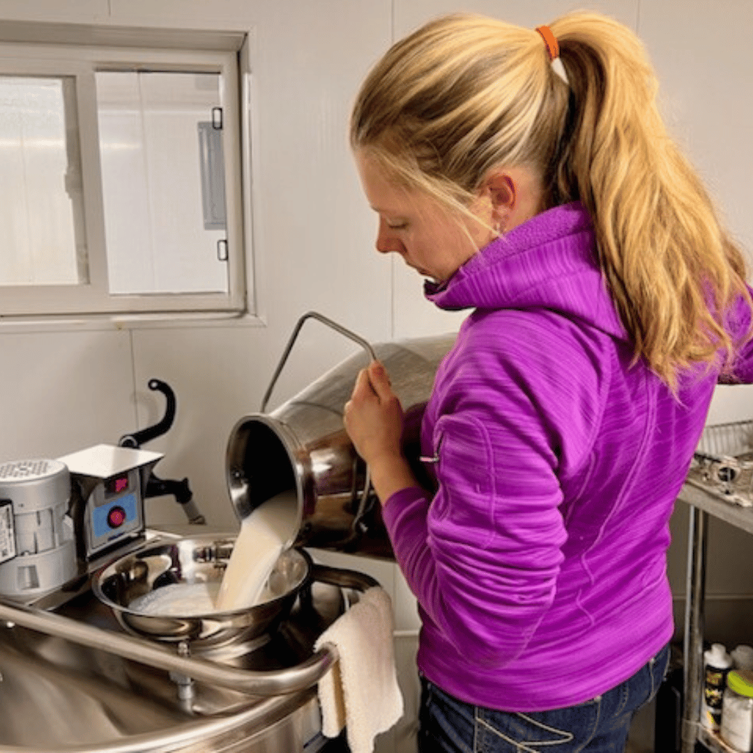 Esther pouring milk into a strainer in her milking parlor