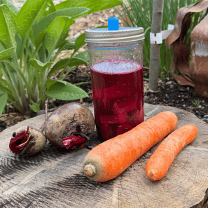 Carrots, beet juice in a jar, and a beet on a wooden surface outdoors in a garden