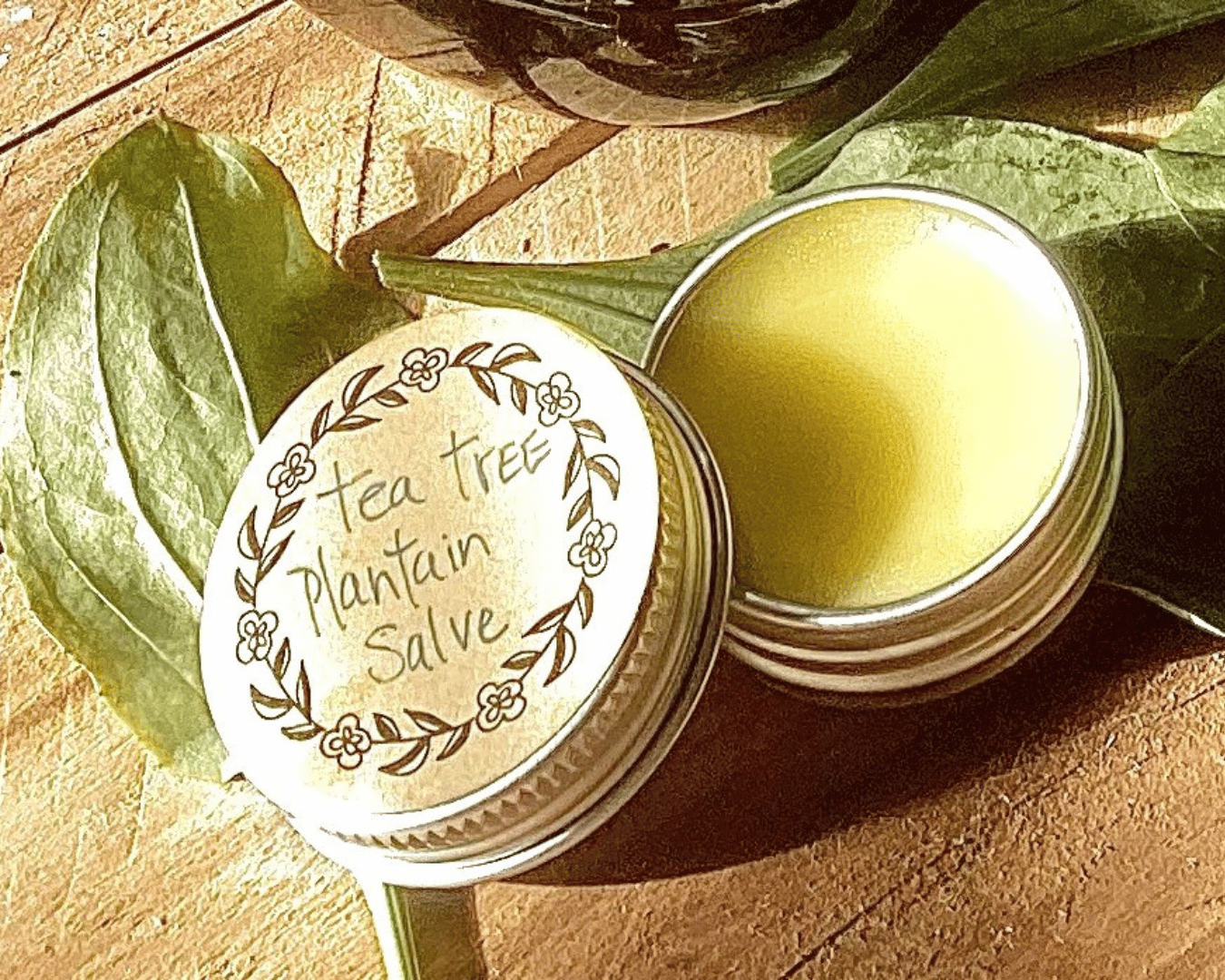 close up of open salve tin with the label tea tree plantain salve