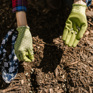 A person wearing green gloves is planting seeds in the ground.