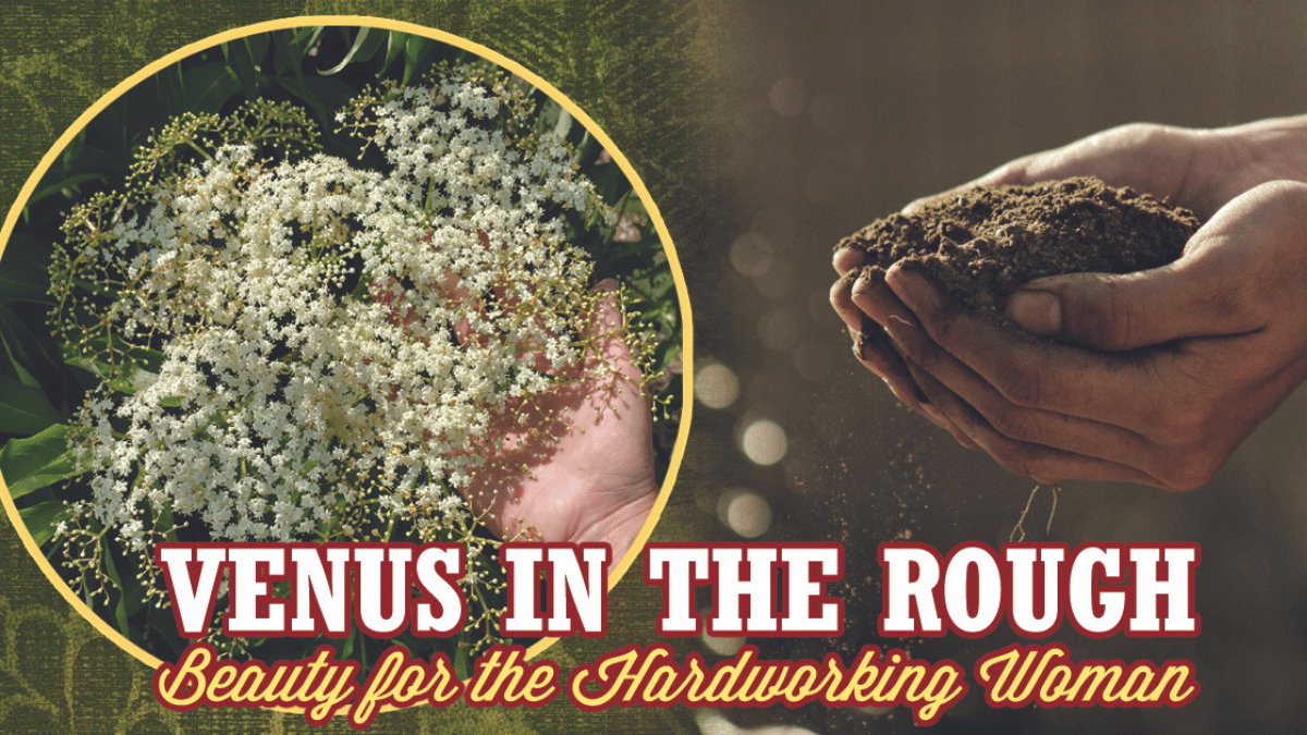 elderberry flower on the left and a woman's cupped hands holding dirt on the right