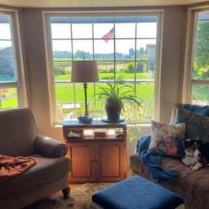 A living room nook with two armchairs, a table with a lamp and plant, and a dog resting on a blue blanket by a window.
