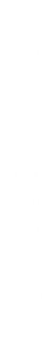 White vertical rectangle on a black background.