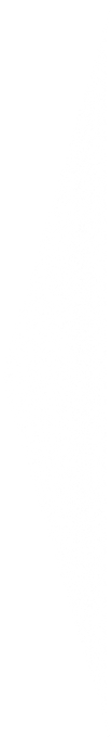 White vertical rectangle on a black background.
